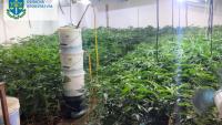 A lefoglalt felszerelések, valamint a kábítószerhez hasonló növények értéke előzetesen becslések szerint eléri a 3,7 millió hrivnyát. Fotó: Kárpátaljai Megyei Ügyészség