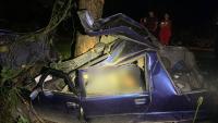 Közúti balesetben meghalt egy 31 éves sofőr Kárpátalján. Árokba hajtott és nekiütközött egy fának. Fotó: Nemzeti Rendőrség